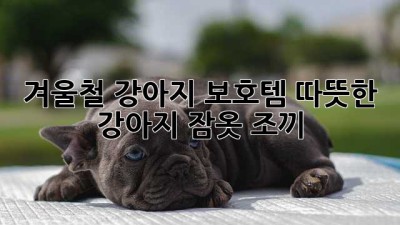 겨울철 강아지 보호템! 따뜻한 강아지 잠옷 조끼
